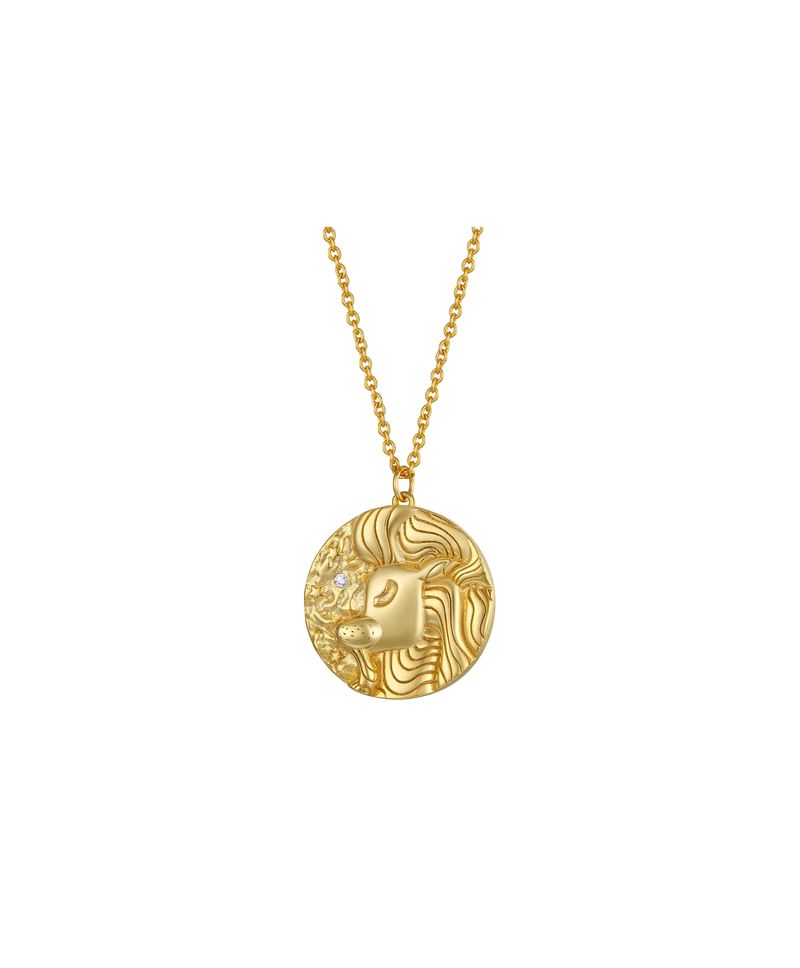 Leo Zodiac Double Sided Coin Pendant Necklace