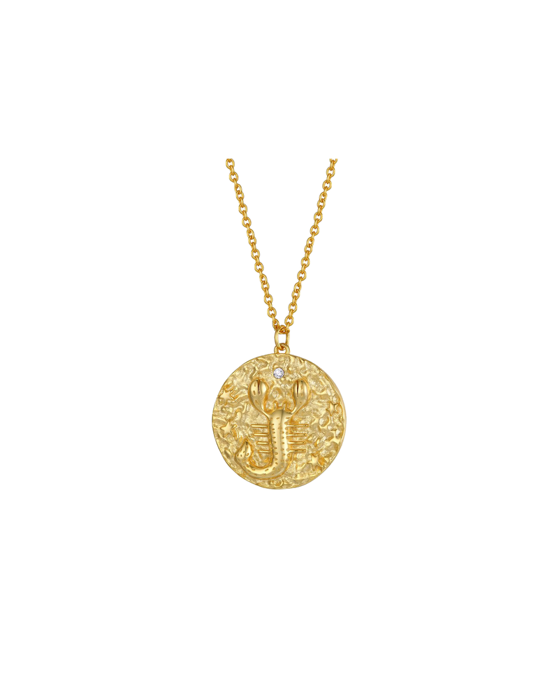 Scorpio Zodiac Double Sided Coin Pendant Necklace
