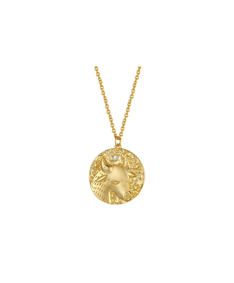 Taurus Zodiac Double Sided Coin Pendant Necklace